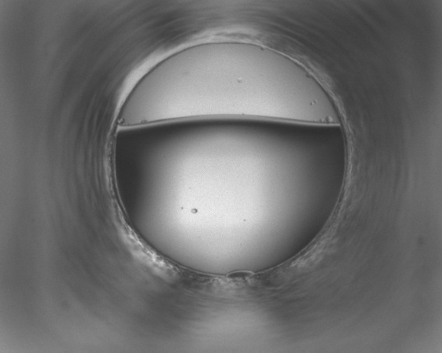 X0000078020960200611031453