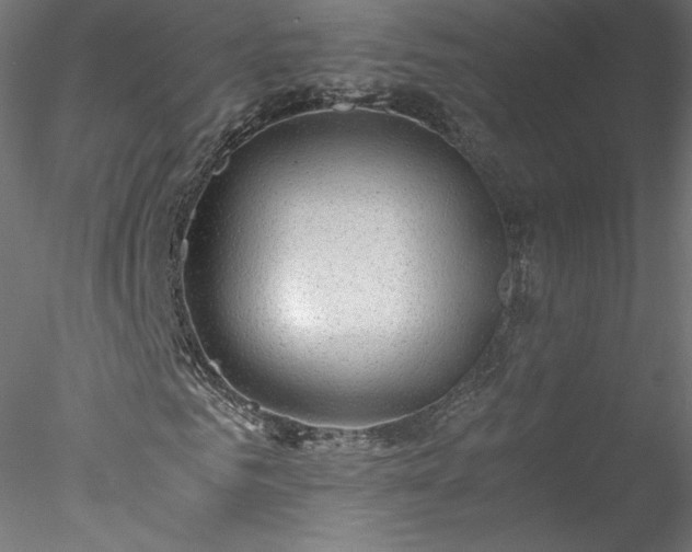 X0000078020961200611031452