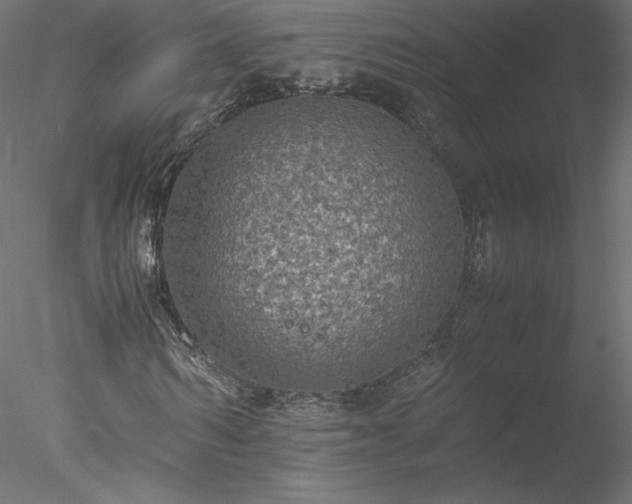 X0000078020962200611031452