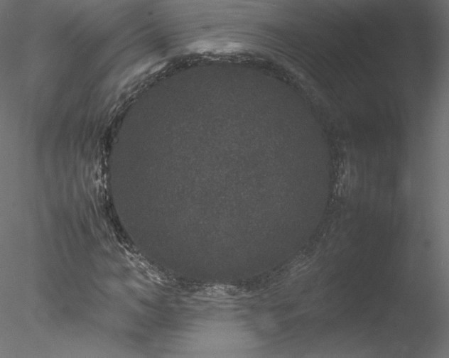 X0000078020966200611031452