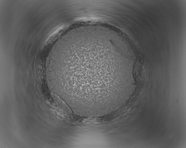 X0000078020967200611031452