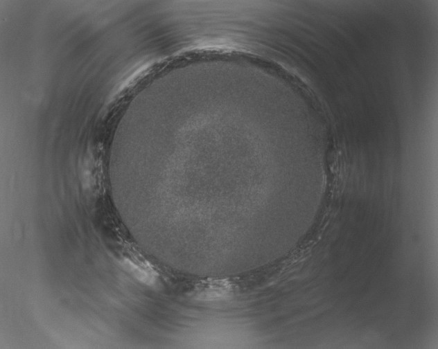 X0000078020968200611031452