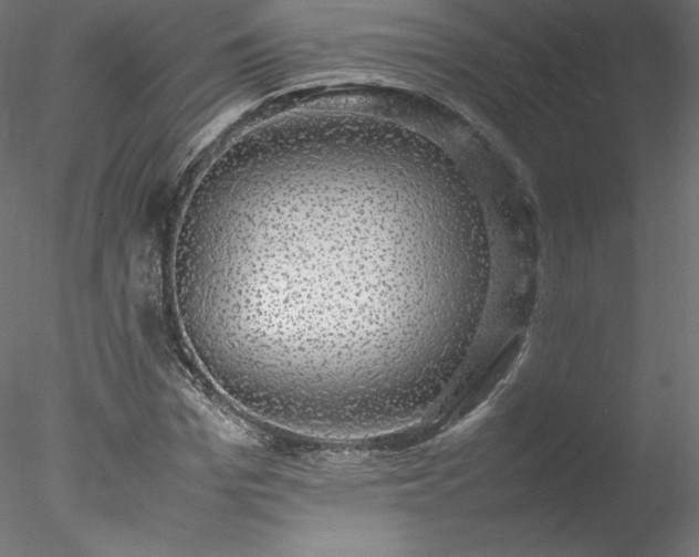 X0000078020969200611031452