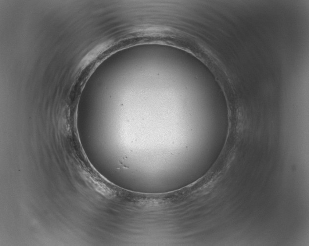 X0000078020970200611031452