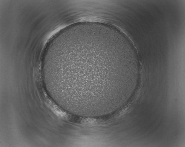 X0000078020971200611031452