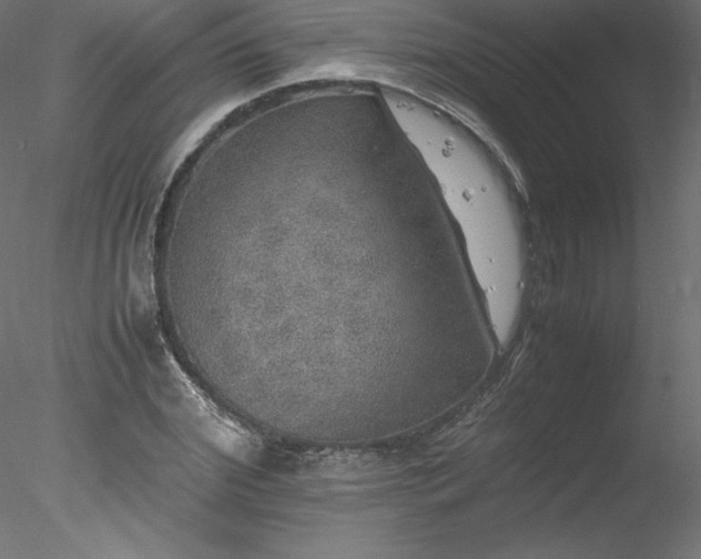 X0000078020972200611031452