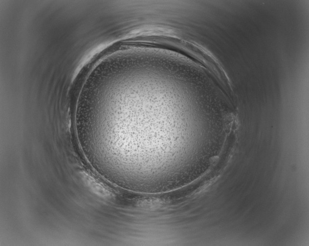 X0000078020973200611031452