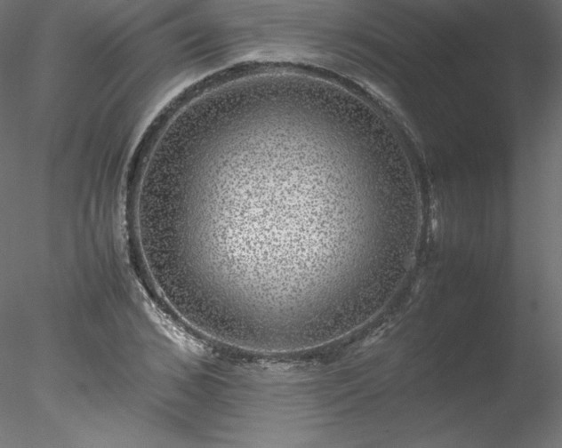 X0000078020976200611031452