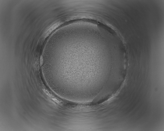 X0000078020977200611031452