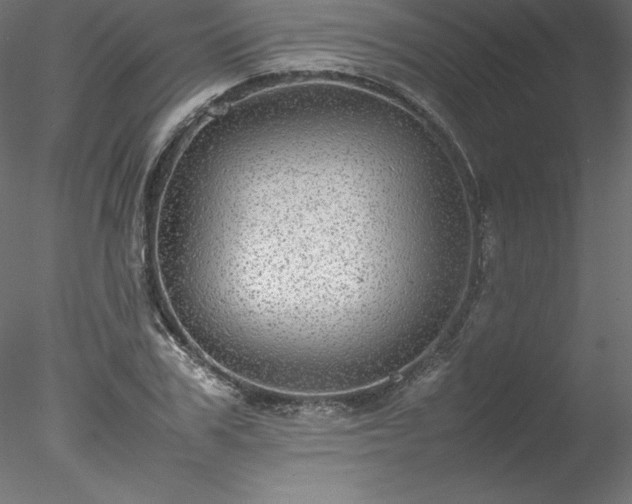 X0000078020979200611031451