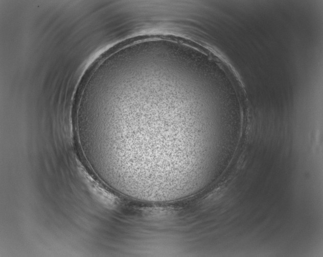 X0000078020980200611031451