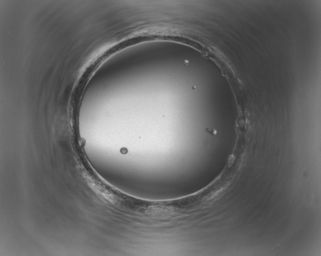 X0000078020981200611031451