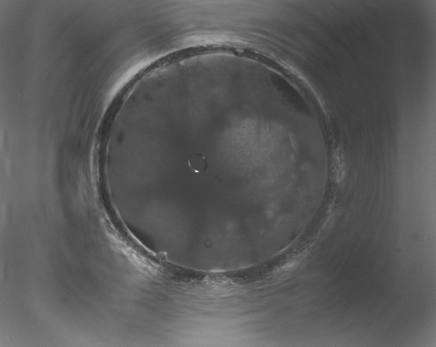 X0000078020983200611031451