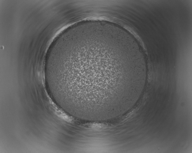 X0000078020984200611031451