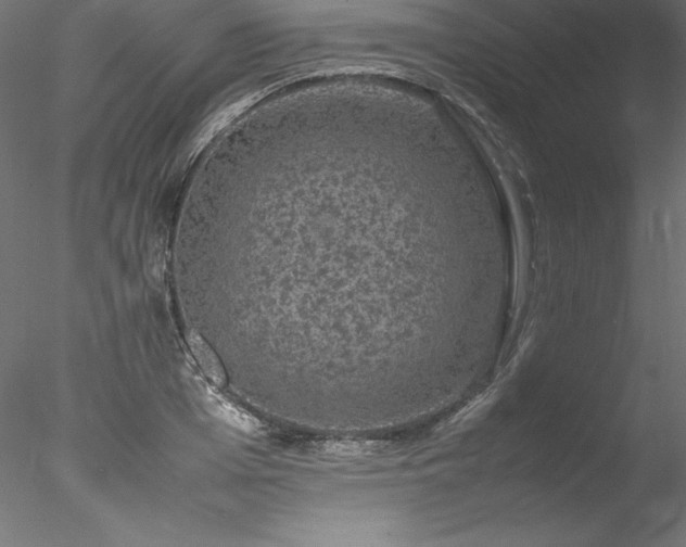 X0000078020985200611031451