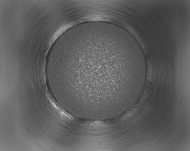 X0000078020986200611031451