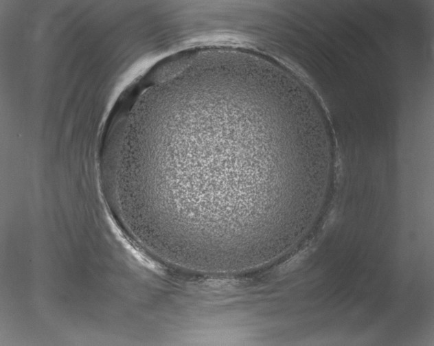 X0000078020989200611031451