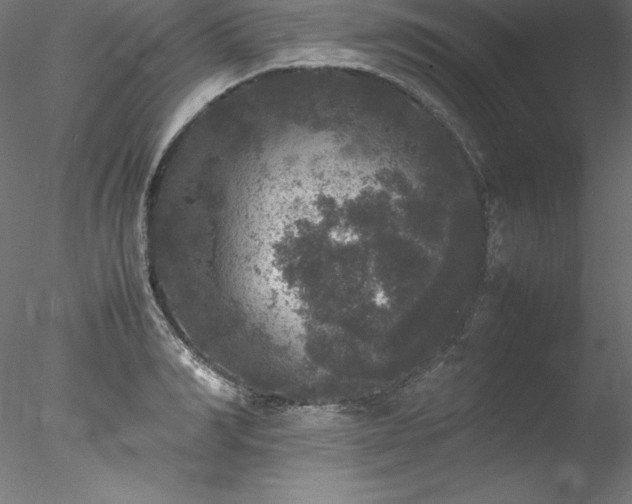 X0000078020990200611031451