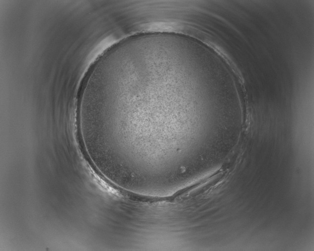 X0000078020992200611031451