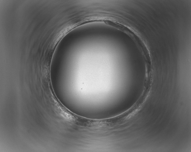 X0000078020993200611031451