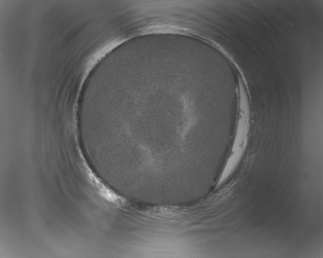 X0000078020995200611031451