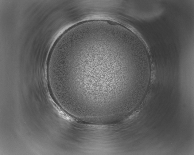 X0000078020996200611031451