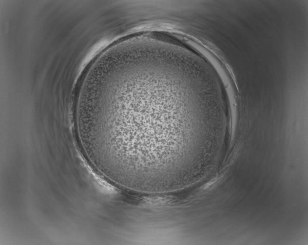 X0000078020997200611031451