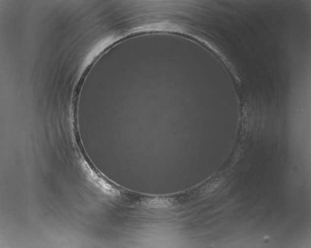 X0000078020998200611031451