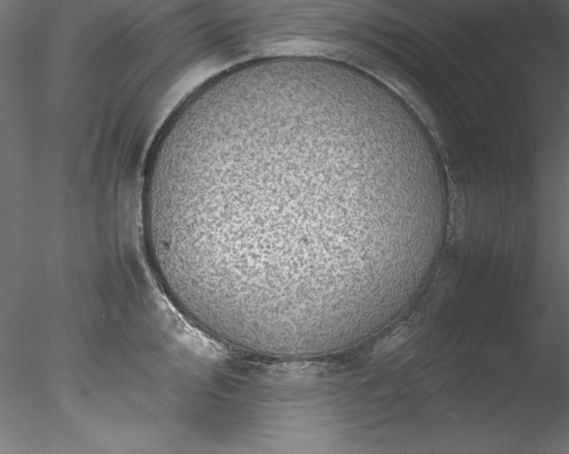 X0000078021000200611031451