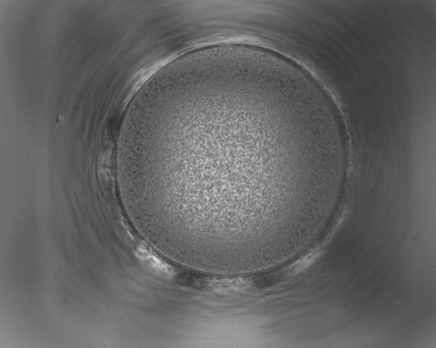 X0000078021001200611031451