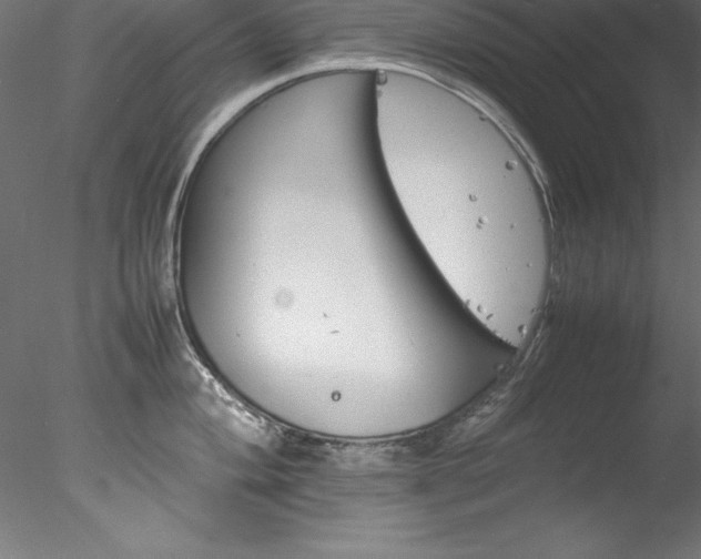 X0000078021004200611031451