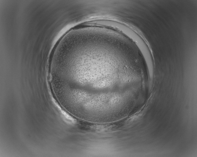 X0000078021005200611031451