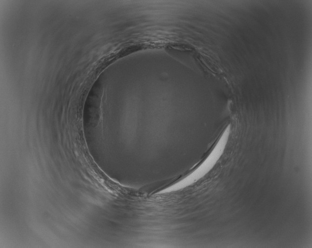 X0000078021009200611031450