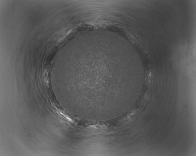 X0000078021010200611031450