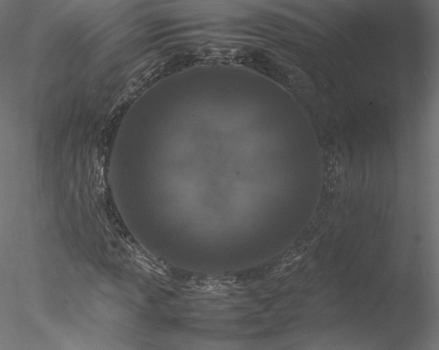 X0000078021013200611031450