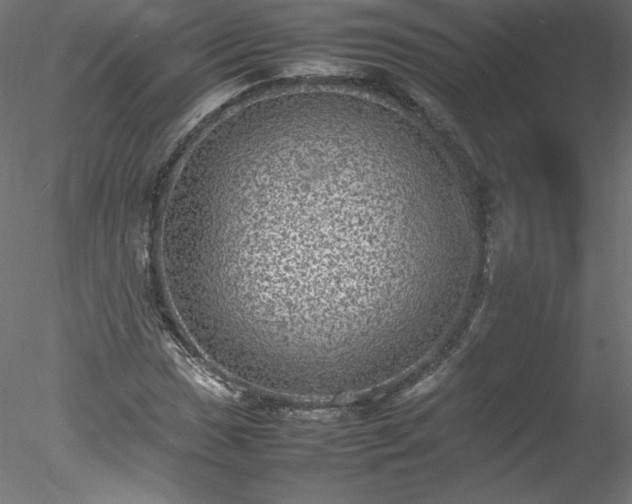 X0000078021017200611031450