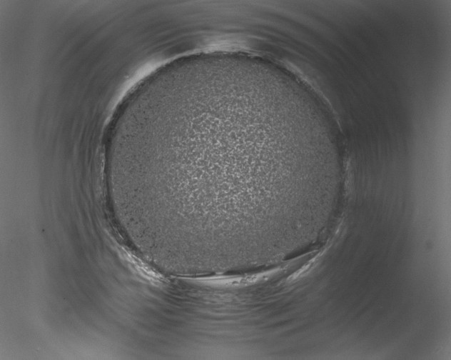 X0000078021021200611031450