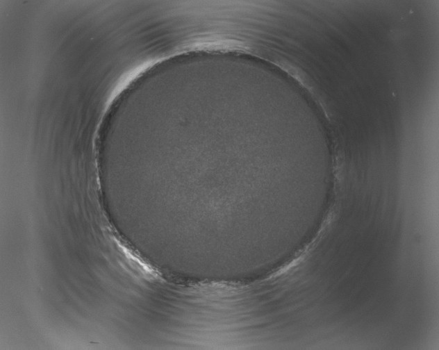 X0000078021022200611031450