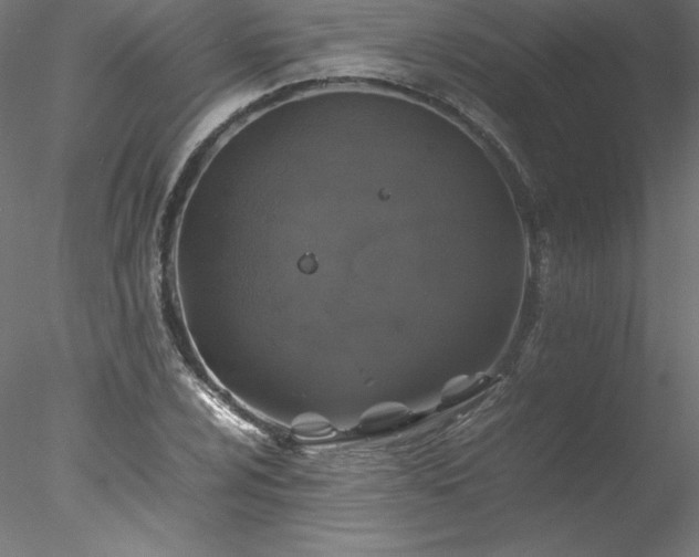 X0000078021024200611031450