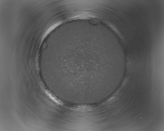 X0000078021026200611031450