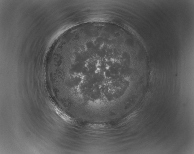 X0000078021027200611031451