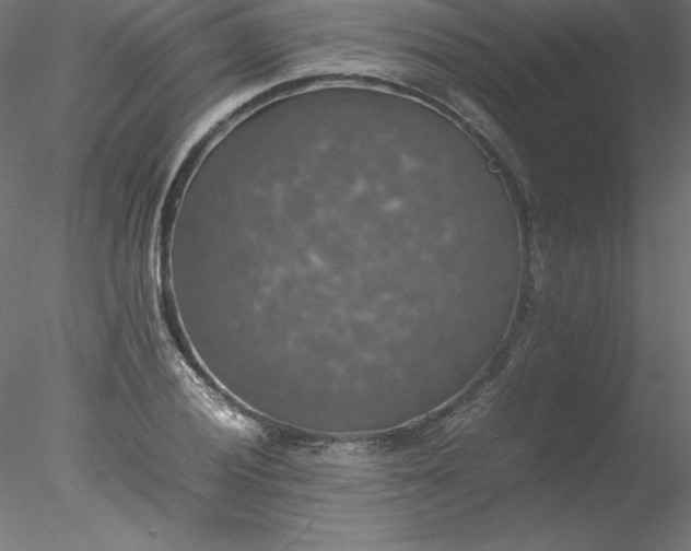 X0000078021028200611031451