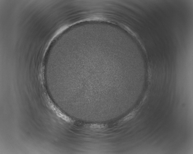 X0000078021029200611031451