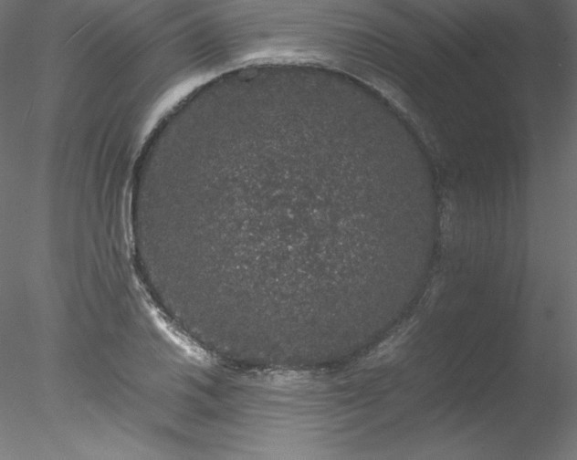 X0000078021030200611031451