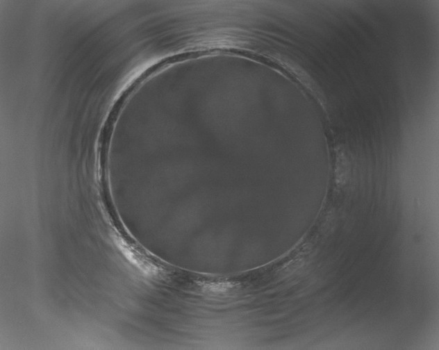 X0000078021031200611031451