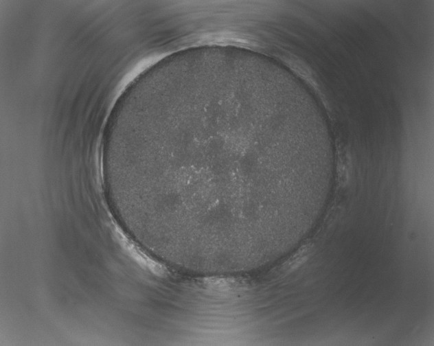 X0000078021032200611031451