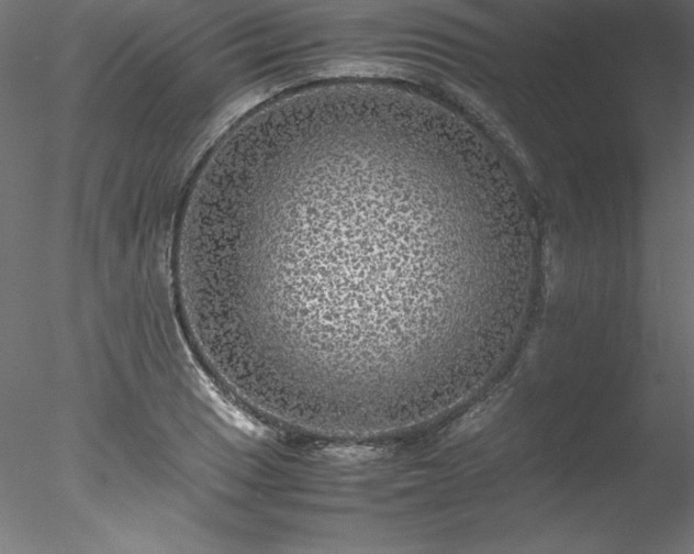 X0000078021033200611031451