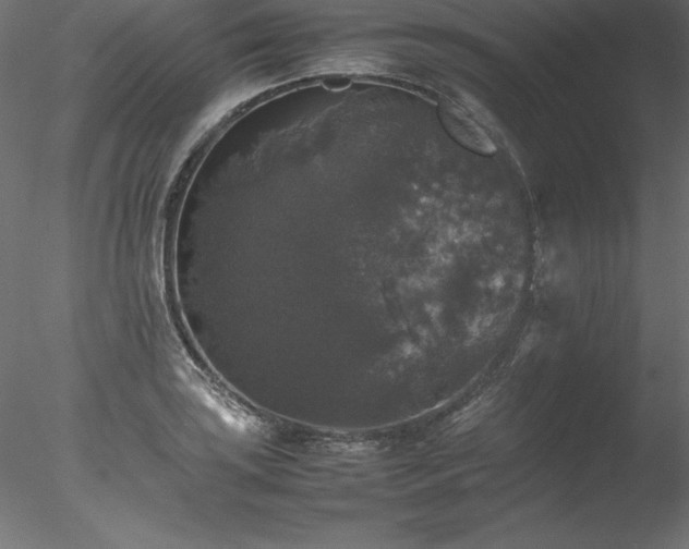 X0000078021035200611031451