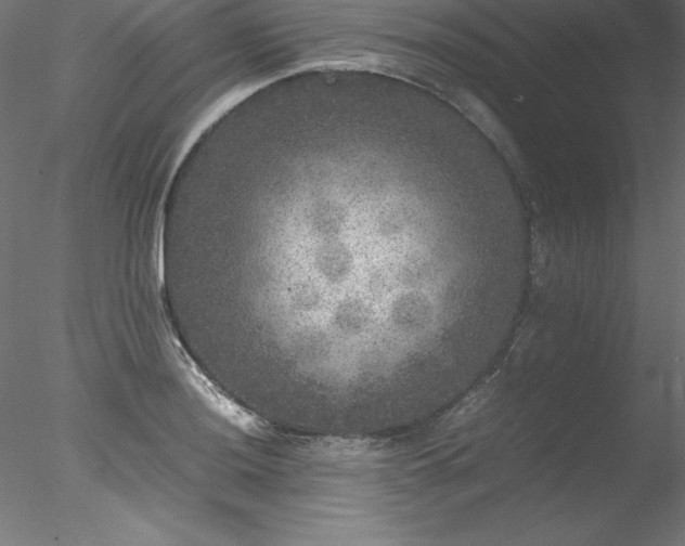 X0000078021036200611031451