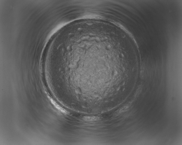 X0000078021037200611031451